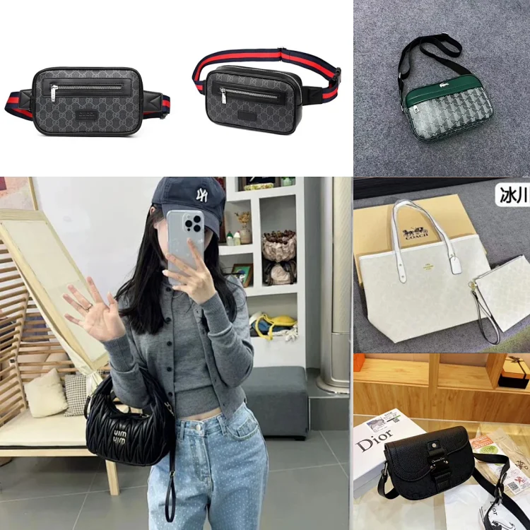 Gucci Dior Coach Miumiu Tasche
