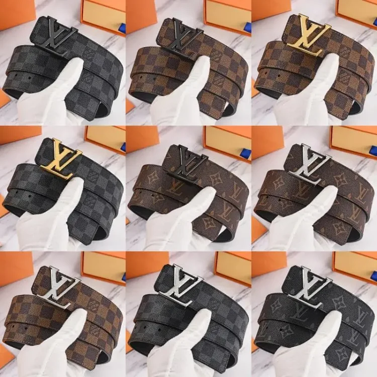 Louis Vuitton Damier Ebene & Monogra Belt