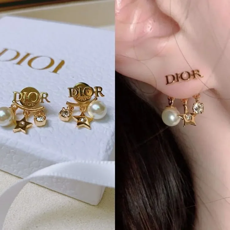 Dior earrings Accessory