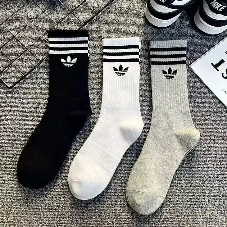 Socks Accessory
