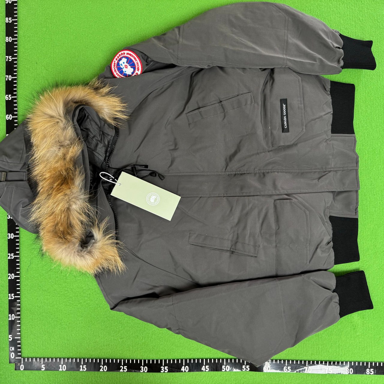 QC & reference photos 3
