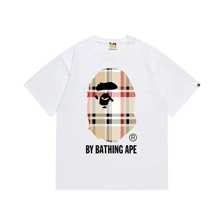 QC & reference photos 2